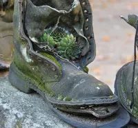 BUTY GUMOFILCE FARMER ROZMIAR 40