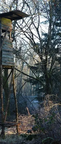 DRABINA ALUMINIOWA 2-ELEMENTOWA 533CM 11+11 SZCZEBLI