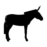 BRZESZCZOT DO DREWNA DO WYRZYNARKI KOMPLET 5SZTUK TYP T244D